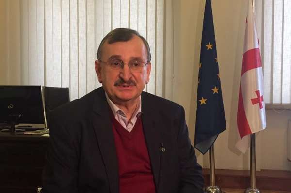&quot;მთავრობას ლარიც გაექცა და ვირუსიც&quot; - გოცირიძე