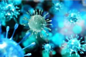 სიტუაცია იმდენად დამძიმდა, რომ სპეციალისტები &ldquo;კორონაგენოციდზე&rdquo; ალაპარაკდნენ