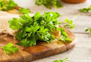 როგორ შევინარჩუნოთ მწვანილი უფრო დიდხანს &ndash; 5 სასარგებლო რჩევა მისი შენახვისა და სწორად დამუშავების შესახებ