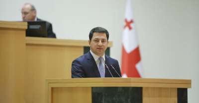 "ჩვენი სურვილია პარლამენტი იყოს თითოეული ჩვენი მოქალაქის ინსტიტუტი და კანონები, რომელსაც ვიღებთ, აუმჯობესებდეს მოქალაქეთა ცხოვრება"