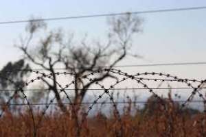 "დიდი ბრიტანეთი საქართველოს ოკუპაციის დასრულებაში დაეხმარება" - ვენდი მორტონი