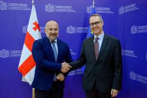 "ჩვენ ვისწრაფით ევროკავშირისკენ და ამ გზაზე გვაქვს გერმანიის გვერდით დგომის იმედი" - ზვიად შალამბერიძე