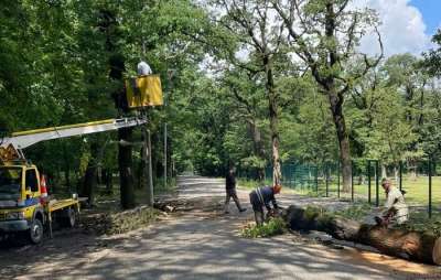 იმერეთის ოთხ მუნიციპალიტეტში სალიკვიდაციო სამუშაოები გრძელდება