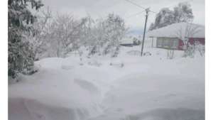 გურიისთვის, სტიქიით წარმოქმნილი საჭიროებებისთვის სარეზერვო ფონდიდან 2 569 048 ლარი გამოიყო