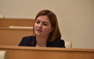 "ეს არის კონსტიტუციური გადატრიალება" - ანა ნაცვლიშვილი